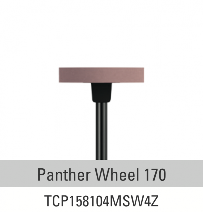 Panther | Polissage Zircone roue