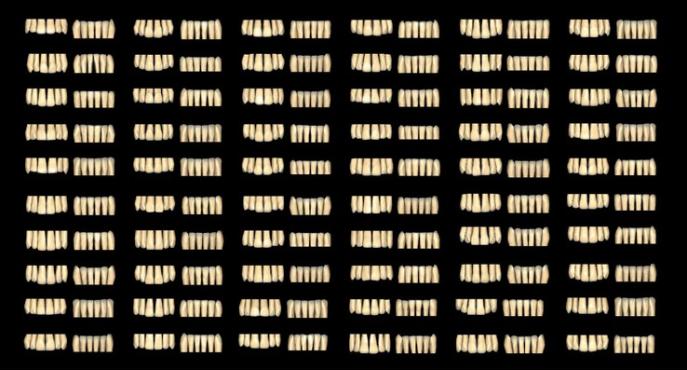Exocad | Tooth Library