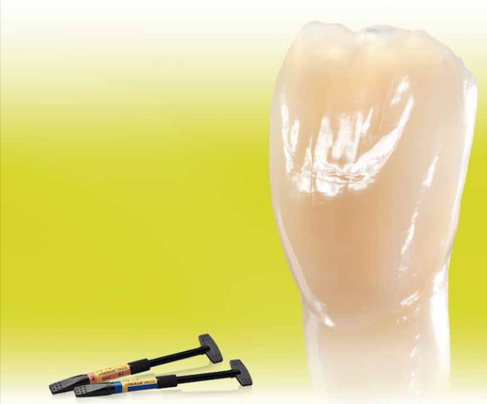 SR NEXCO | PASTE GINGIVA