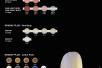 Gradia Plus | Gum